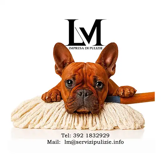 LM SRL - impresa di Pulizie